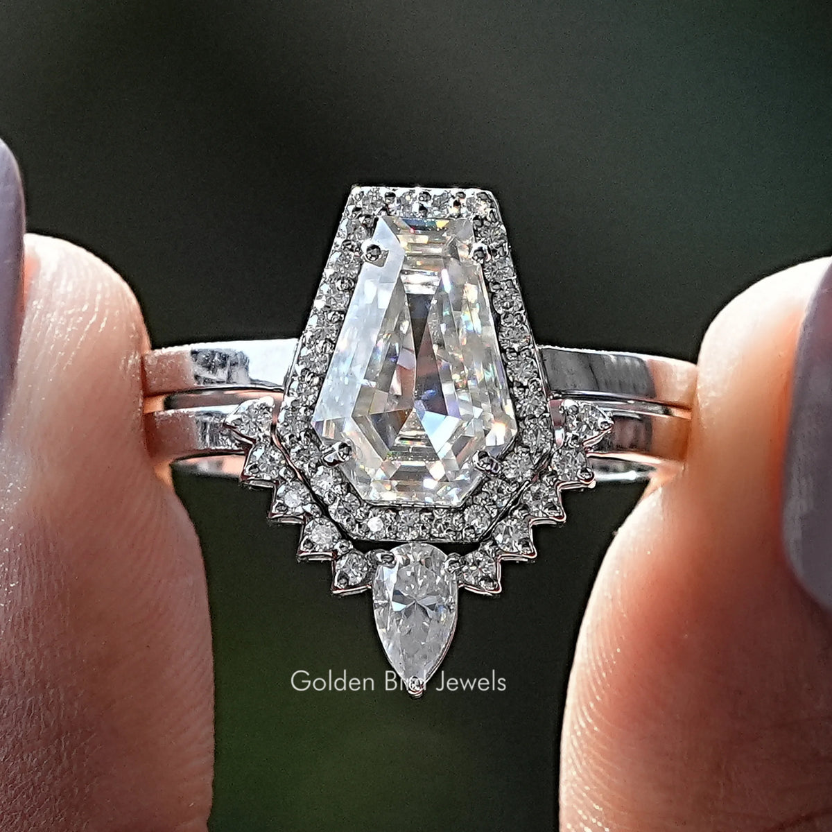 Sargschnitt Moissanit Halo Braut Ring Set