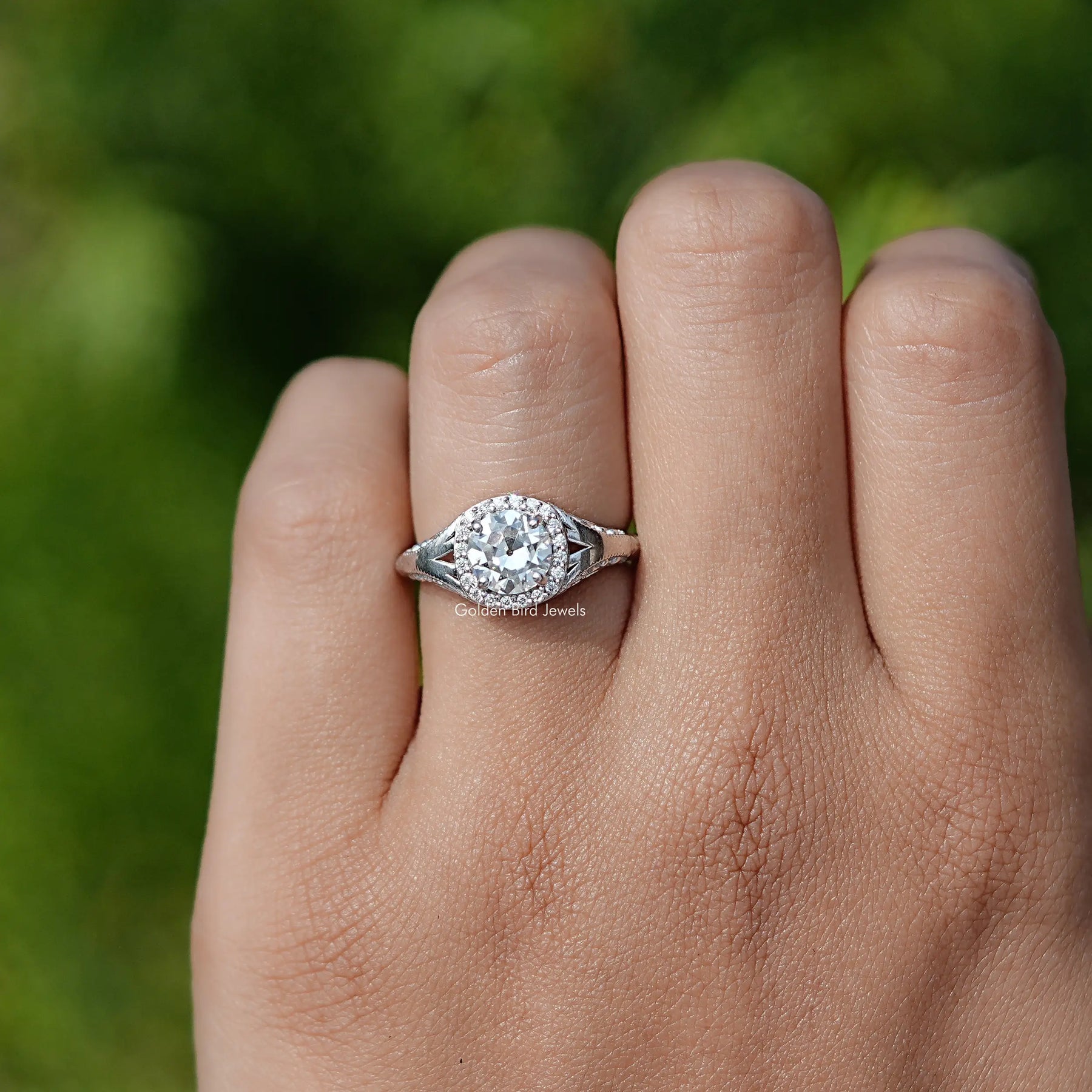Detailed View of European Round Cut Moissanite Halo Ring In White Gold