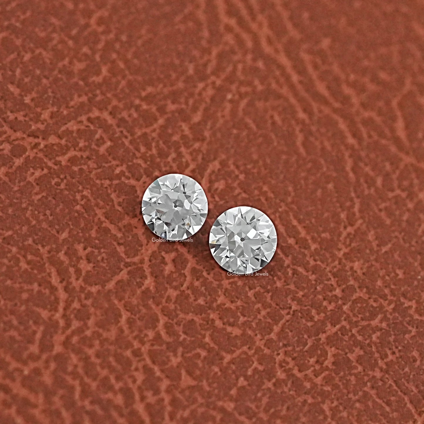 Close-Up View of Round Cut Diamond Matching Pair In White