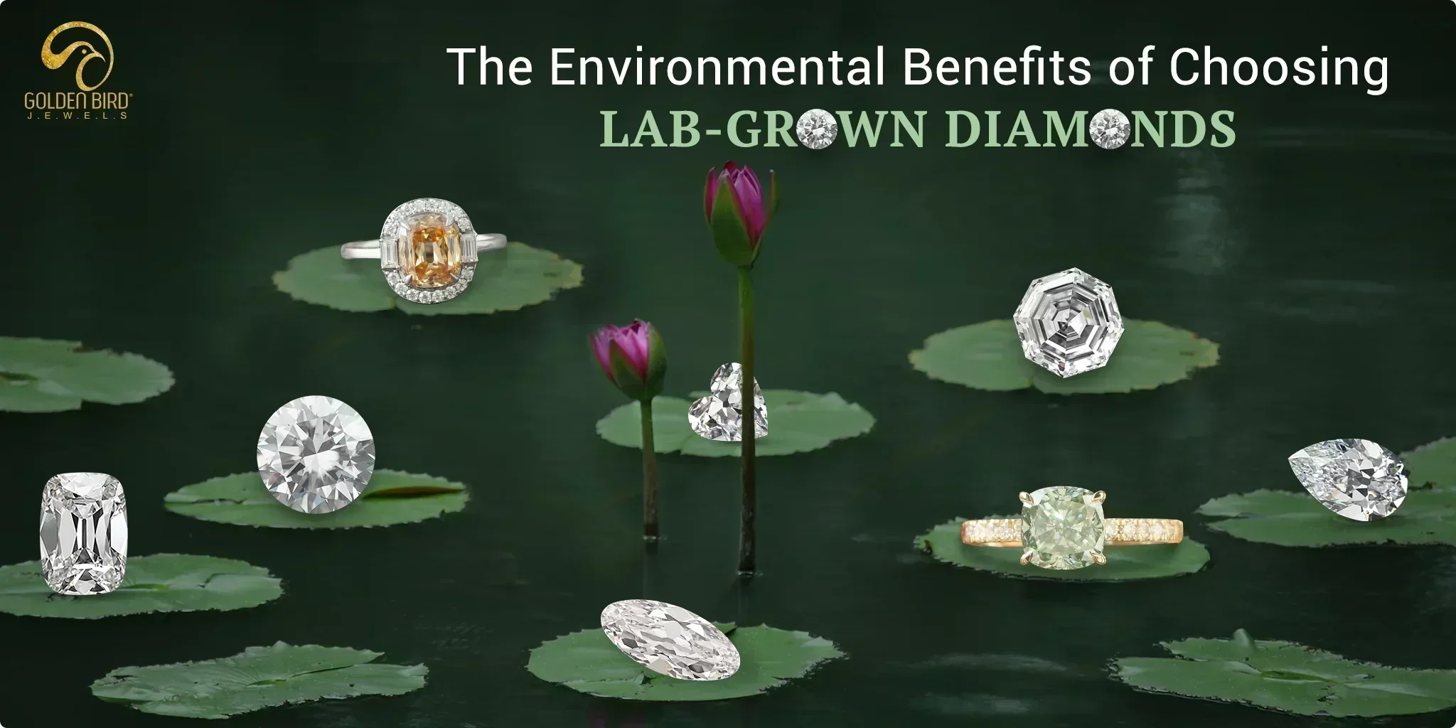 Environmental advantages of lab-grown diamonds displayed with rings on green lily pads.