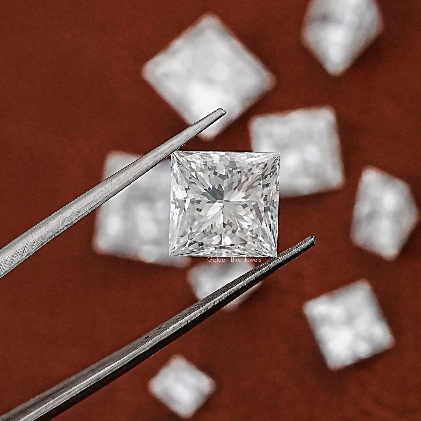 Twijer holding On the Princess Cut Lab Grown Loose Diamond