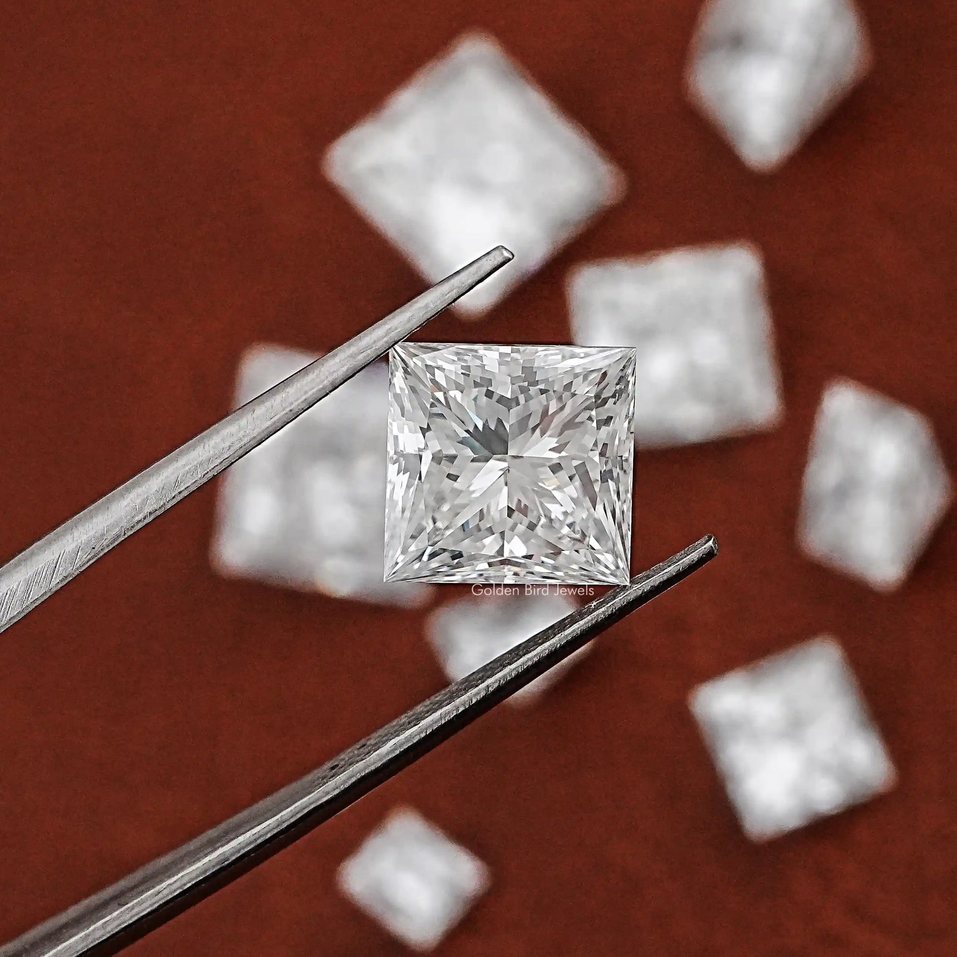 Twijer holding On the Princess Cut Lab Grown Loose Diamond