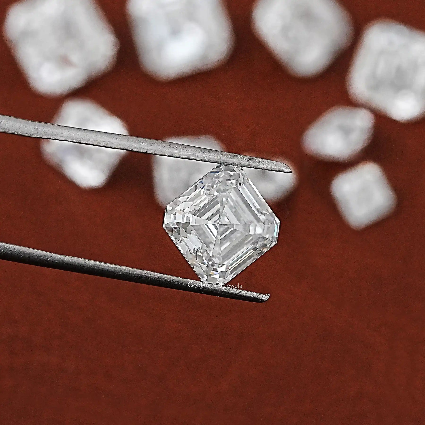 Twijer holding the Asscher Cut Lab Loose Diamond