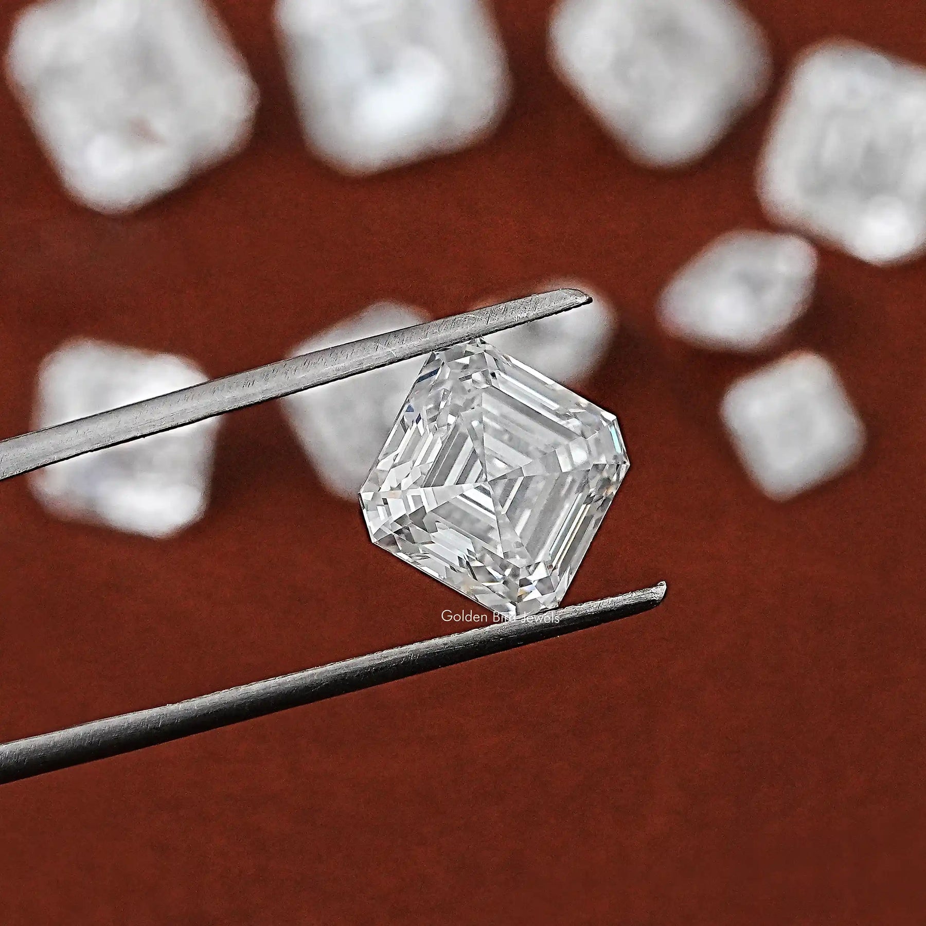 Twijer Holding the Asscher Cut Lab Grown Loose Diamond