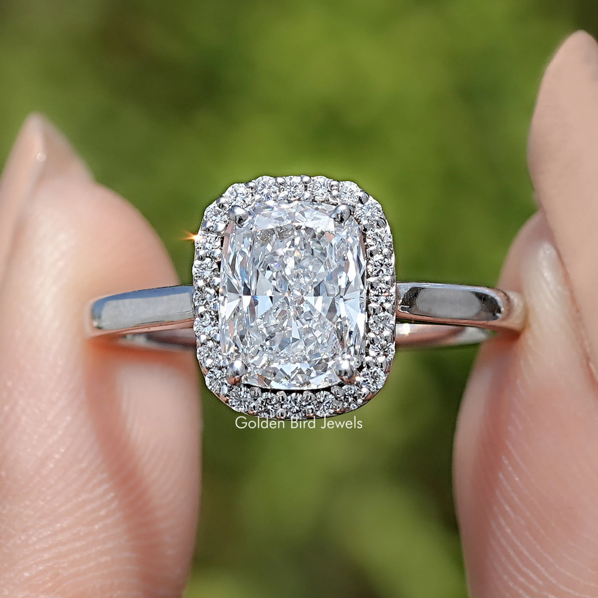 Elongated Cushion Cut Lab Diamond Halo Ring