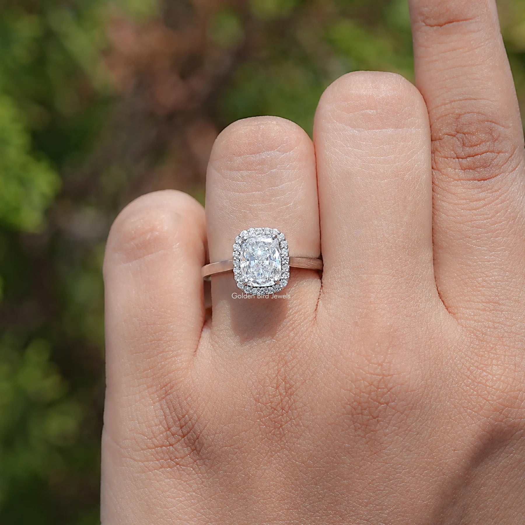 Elongated Cushion Cut Lab Diamond Halo Ring