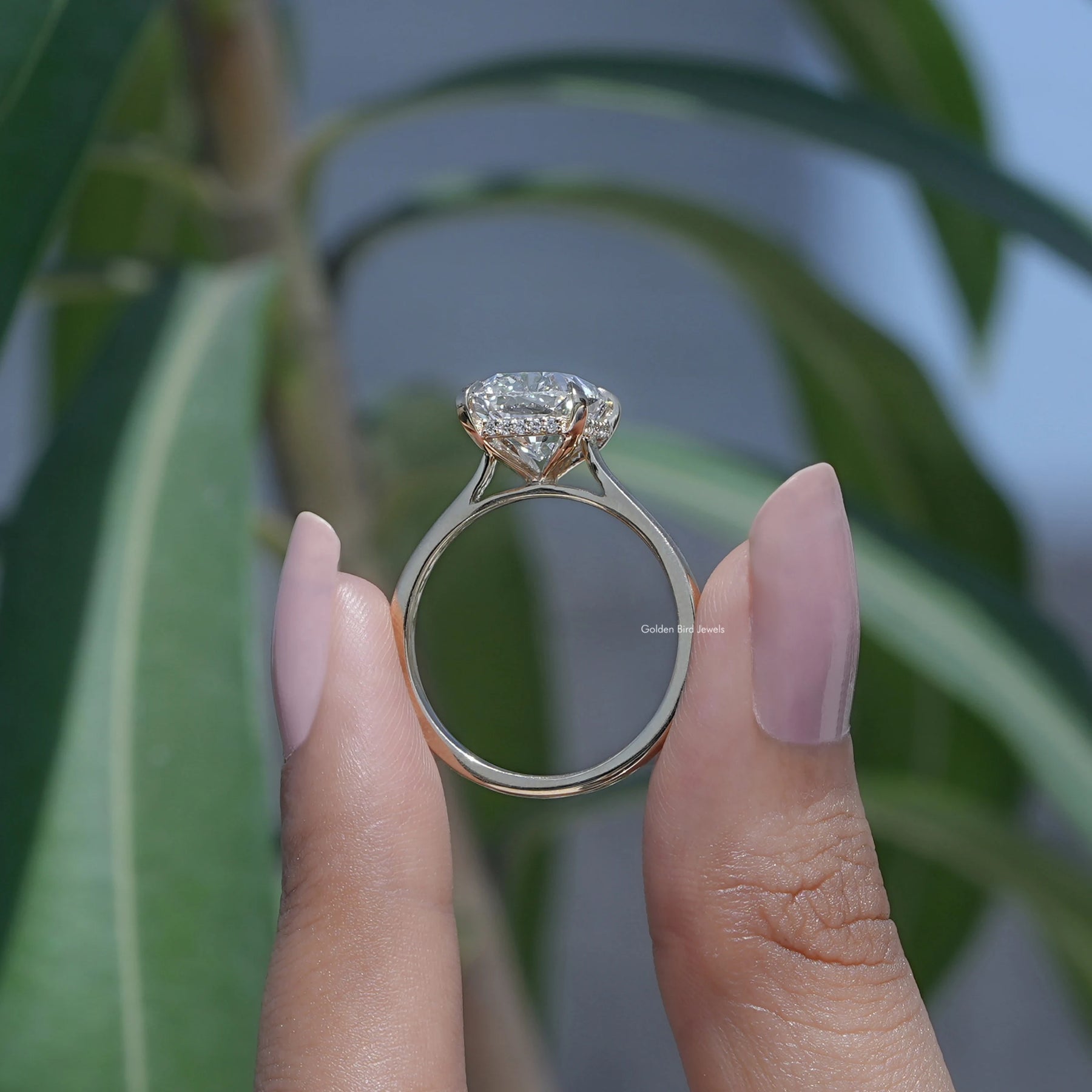 [Hidden Halo Cushion Shaped Diamond Ring]-[Golden Bird Jewels]