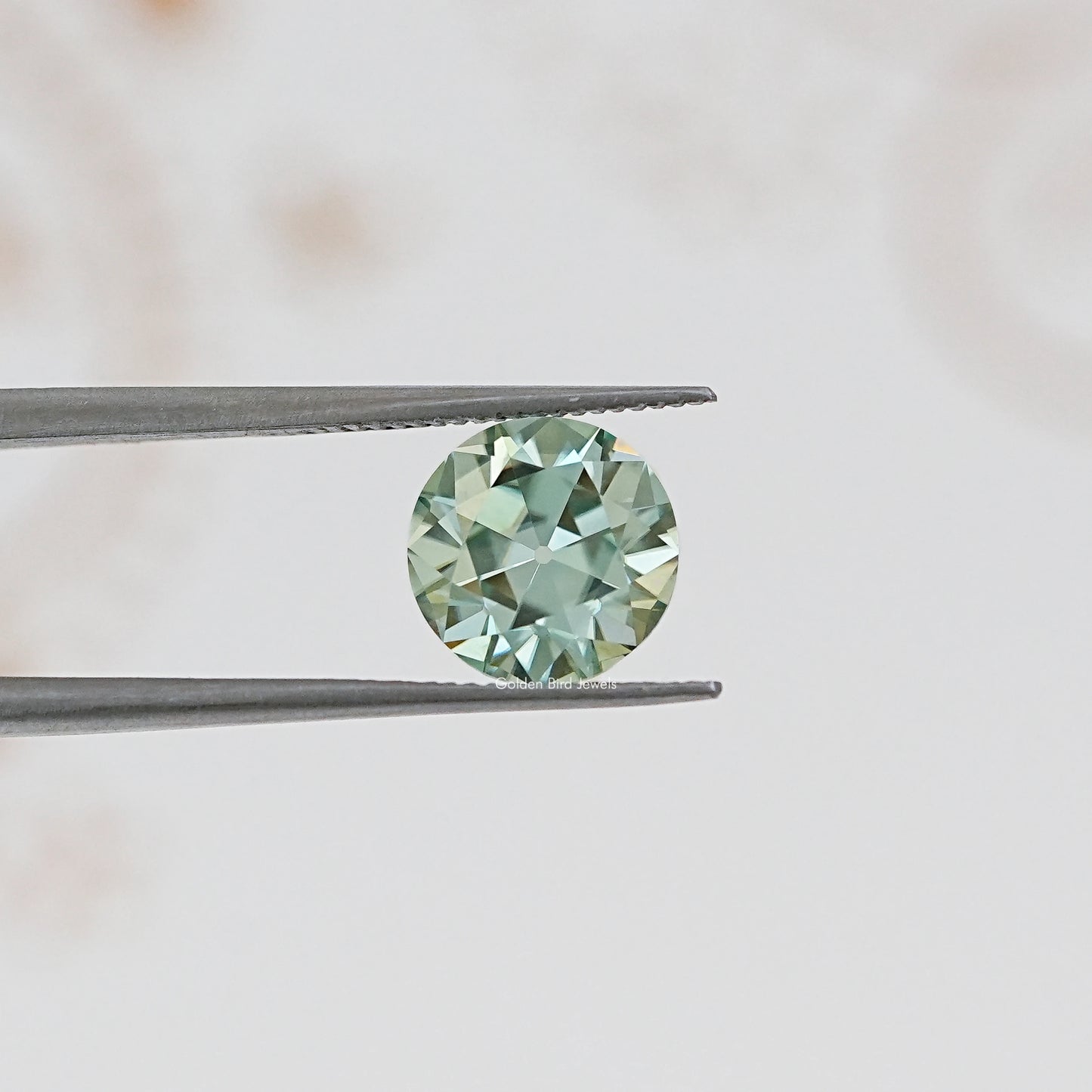 In Tweezer View Of Old European Round Cut Loose Moissanite