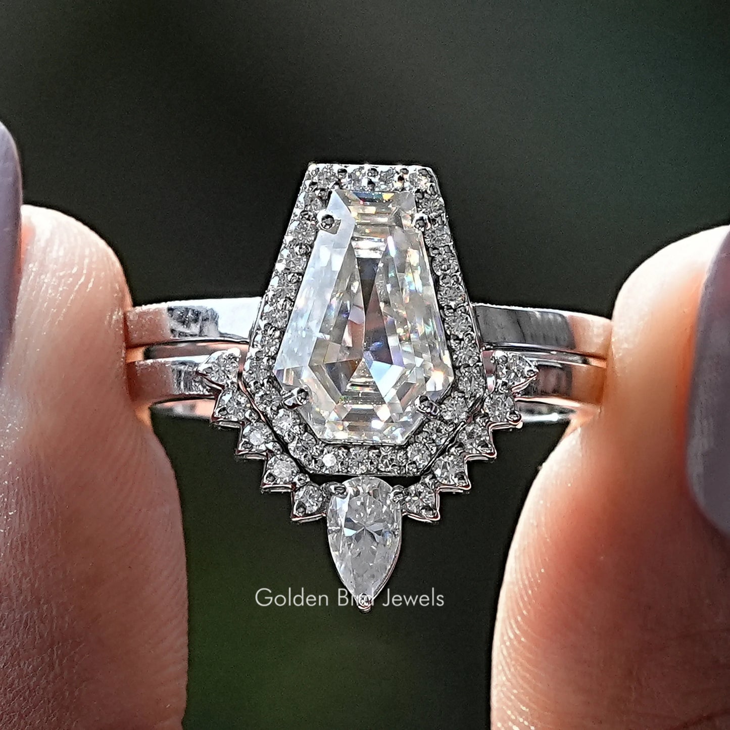 Sargschnitt Moissanit Halo Braut Ring Set