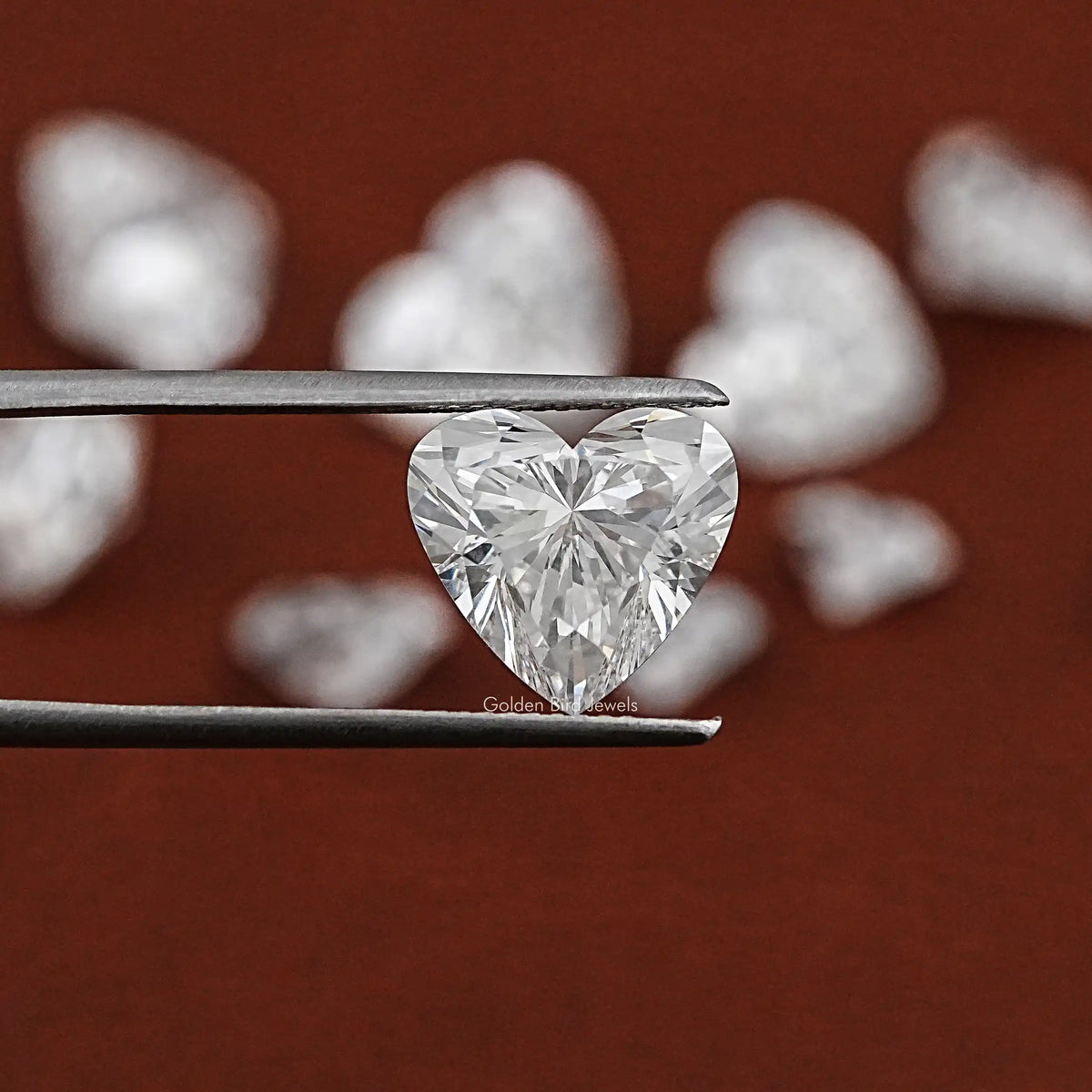 Twijer holding the Heart Shaped Lab Grown Diamond