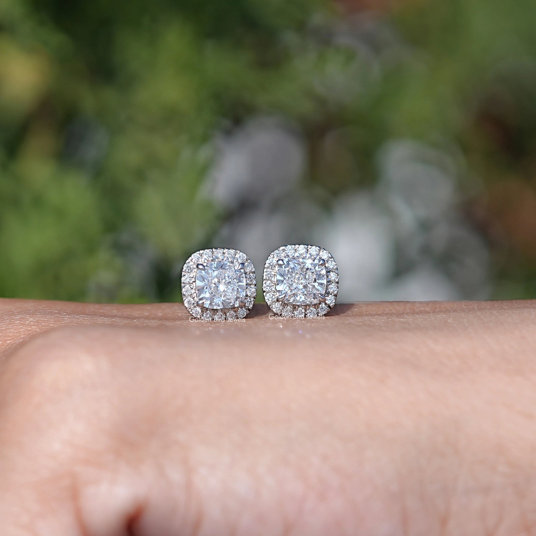 Cushion Cut Lab Diamond Halo Stud Earrings