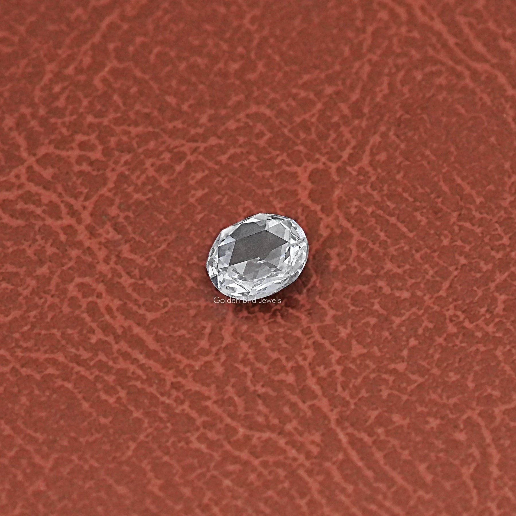 Close-Up View of Rose Cut Loose Round Diamond In White