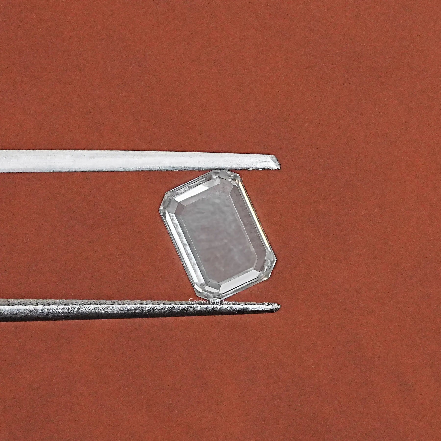 Twijer hold the Portrait Emerald Cut Diamond