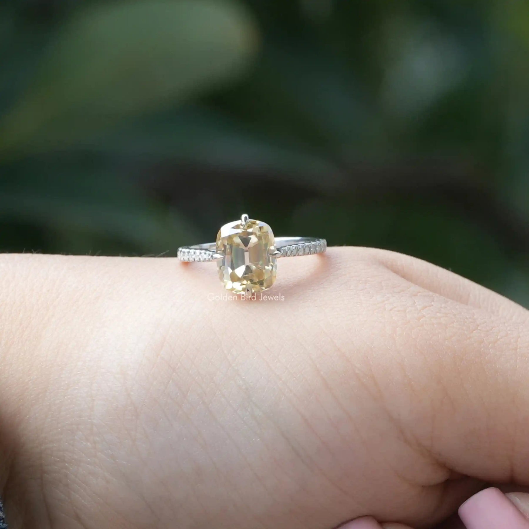 [Prong Set Cushion Cut Moissanite Ring]-[Golden Bird Jewels]