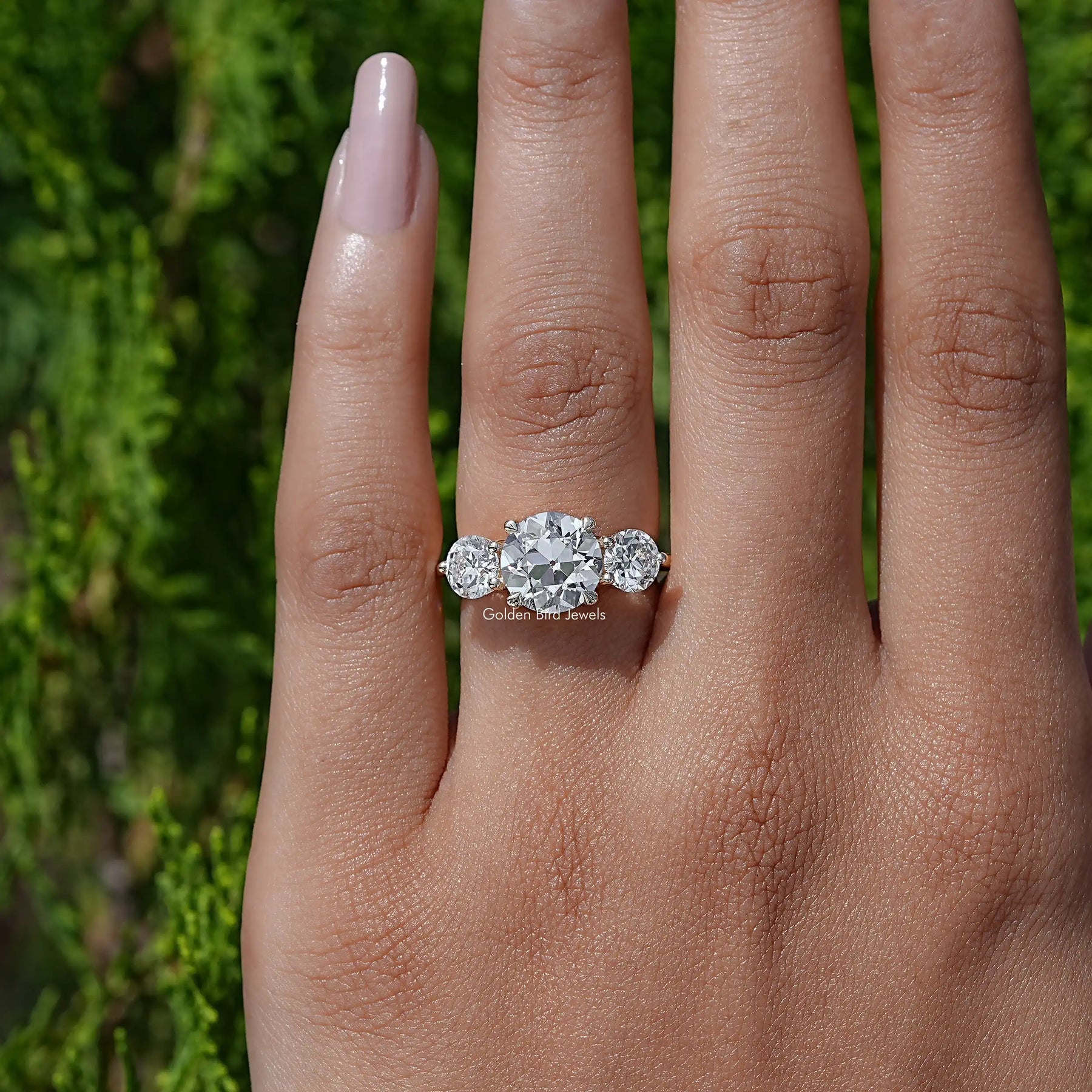 Close-Up View A Round Diamond Three Stone Ring