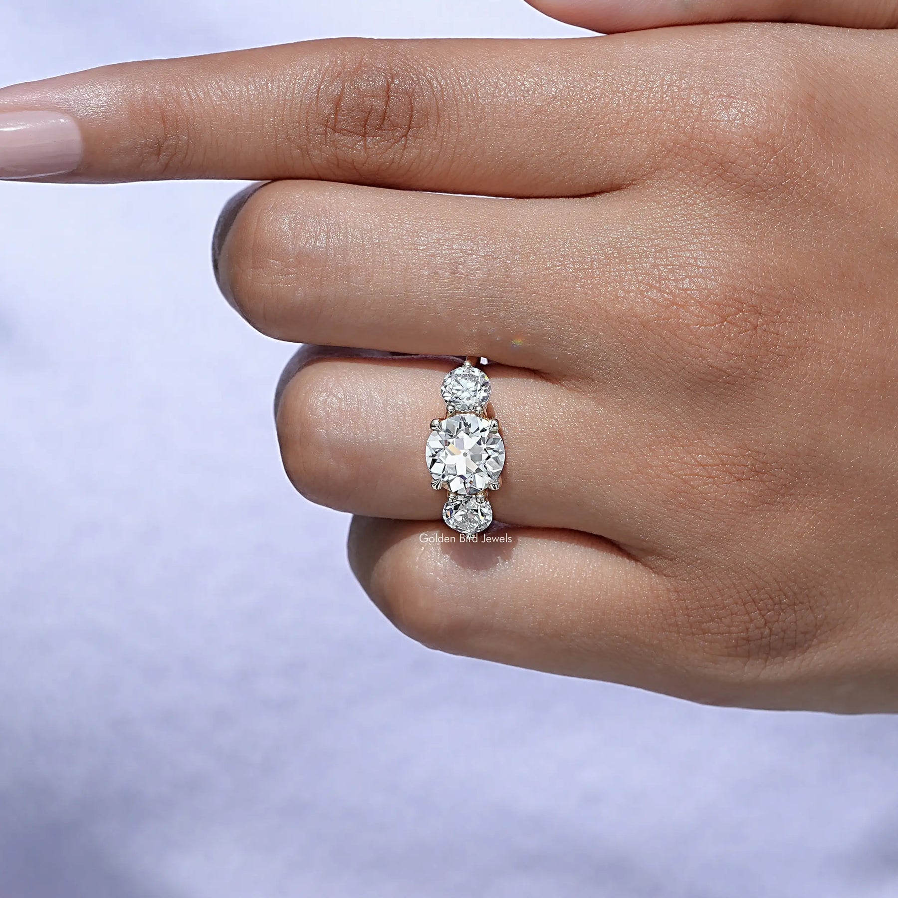 Close-Up View A Round Diamond Three Stone Ring