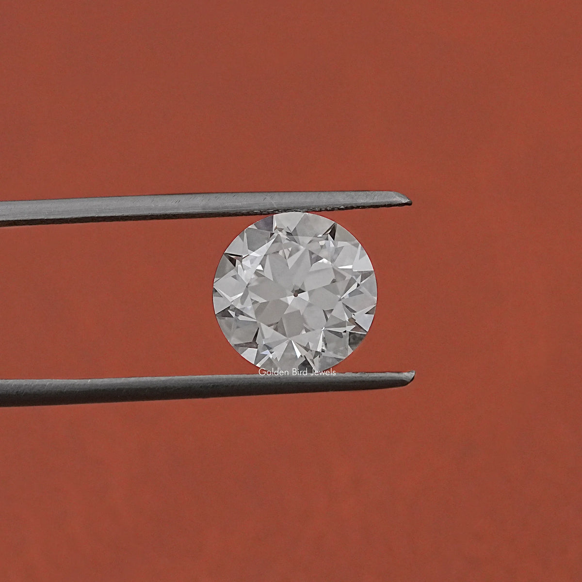 Twijer hold on Old European Round Cut Lab Grown Diamond