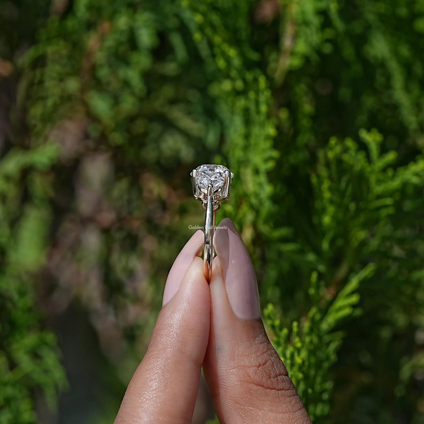 Side View A Old European Round Diamond Three Stone Ring in A Two Fingers