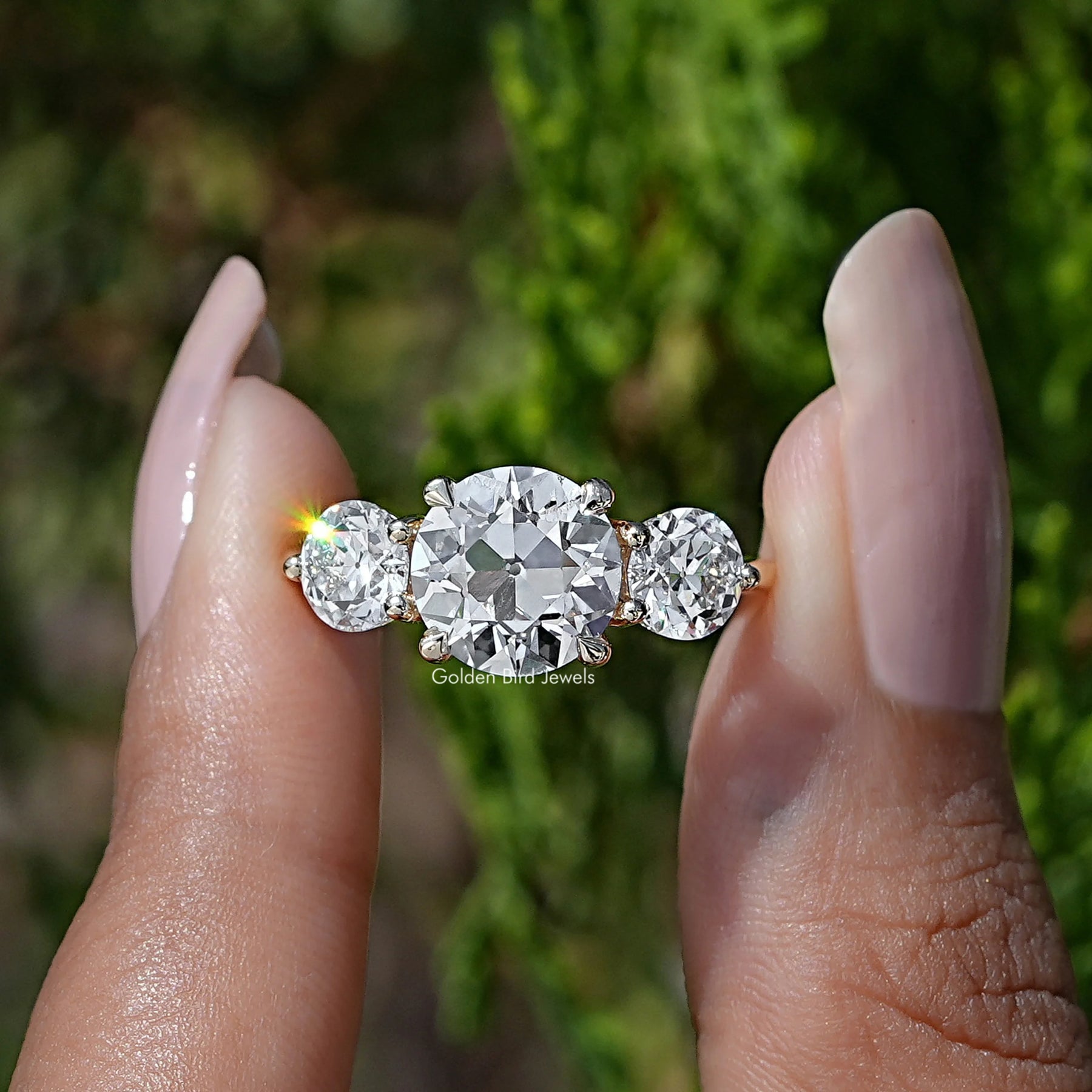 Front View A Old European Round Diamond Three Stone Ring in A Two Fingers