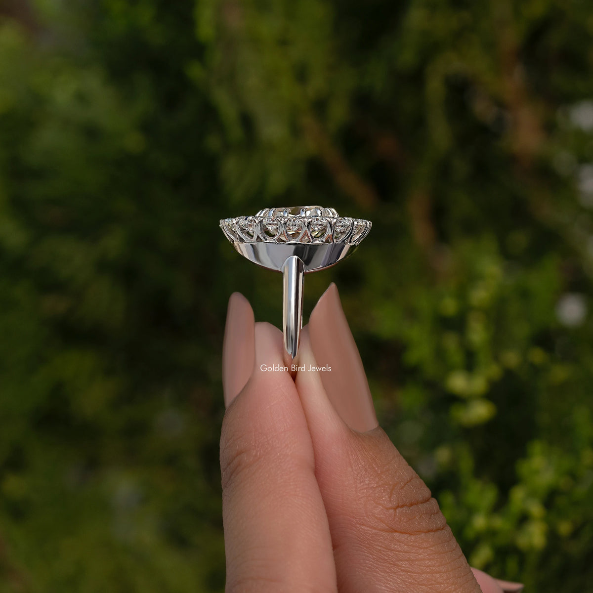 Doppelter Halo Old Mine Kissen-Schliff Moissanit-Ring