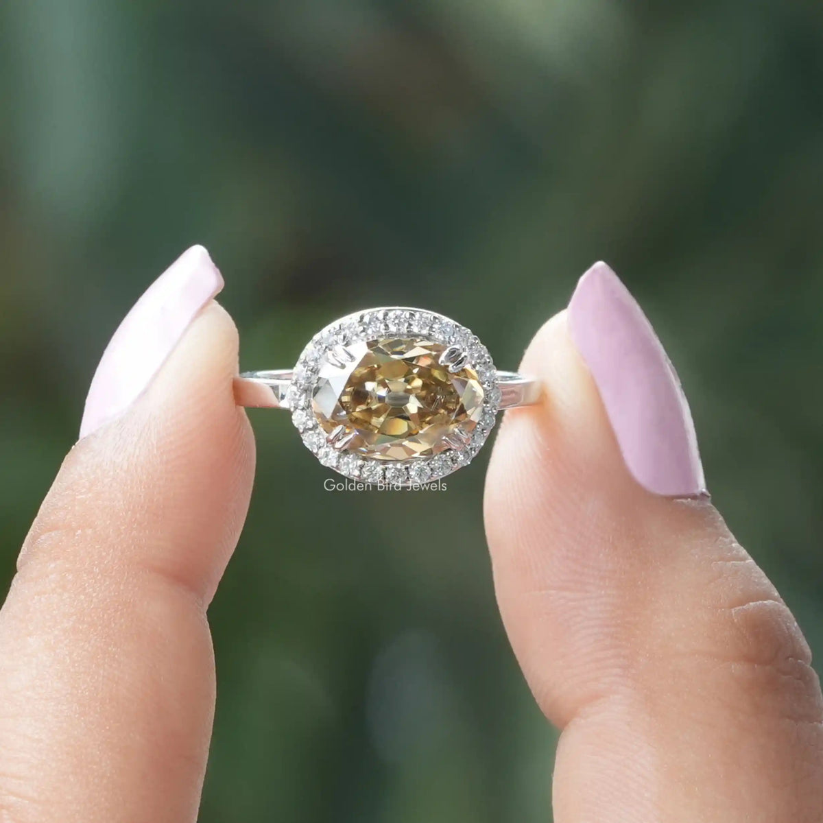 Two fingers holding the Oval Cut Moissanite Halo Style Ring