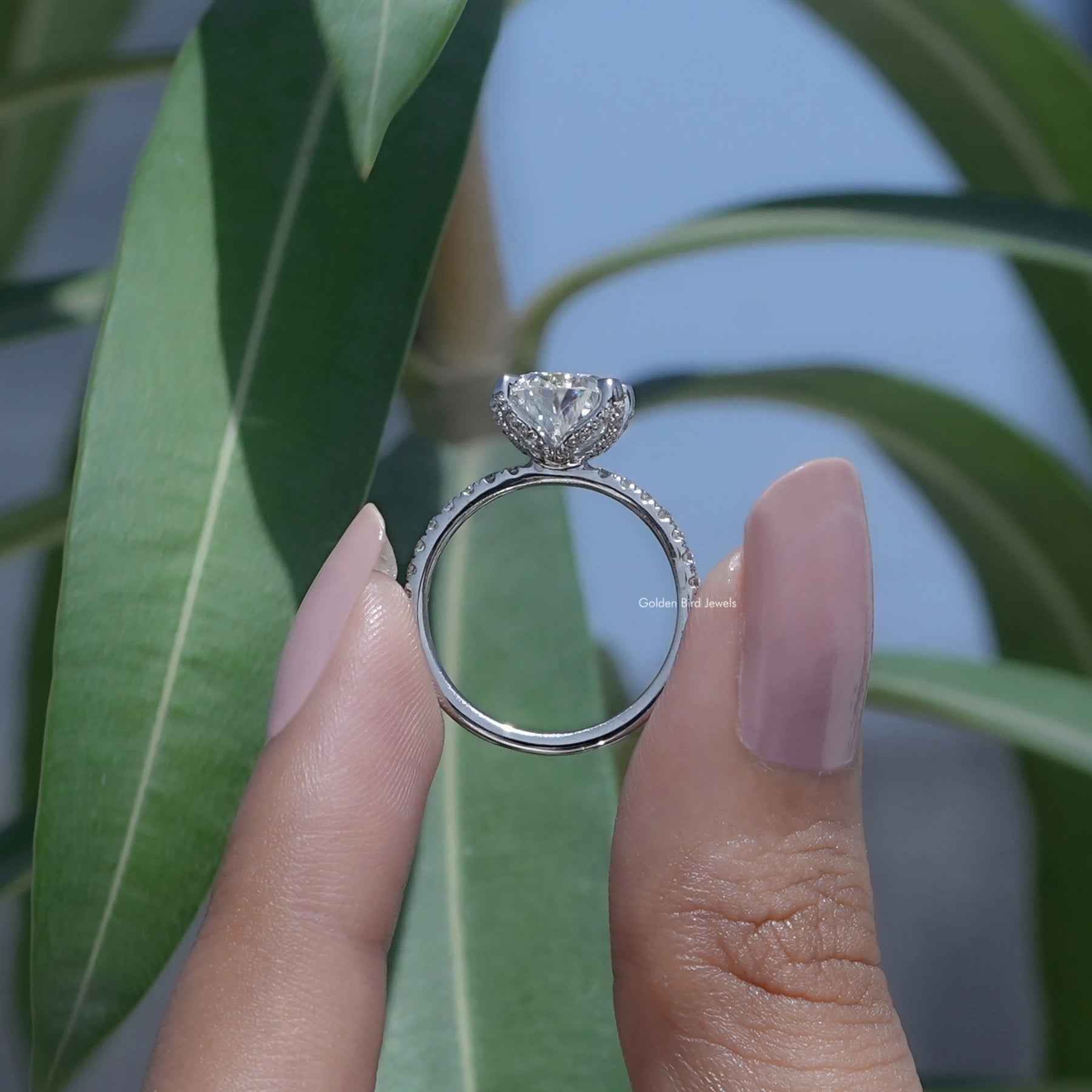 [Prong Setting Pear Shaped Moissanite Ring]-[Golden Bird Jewels]