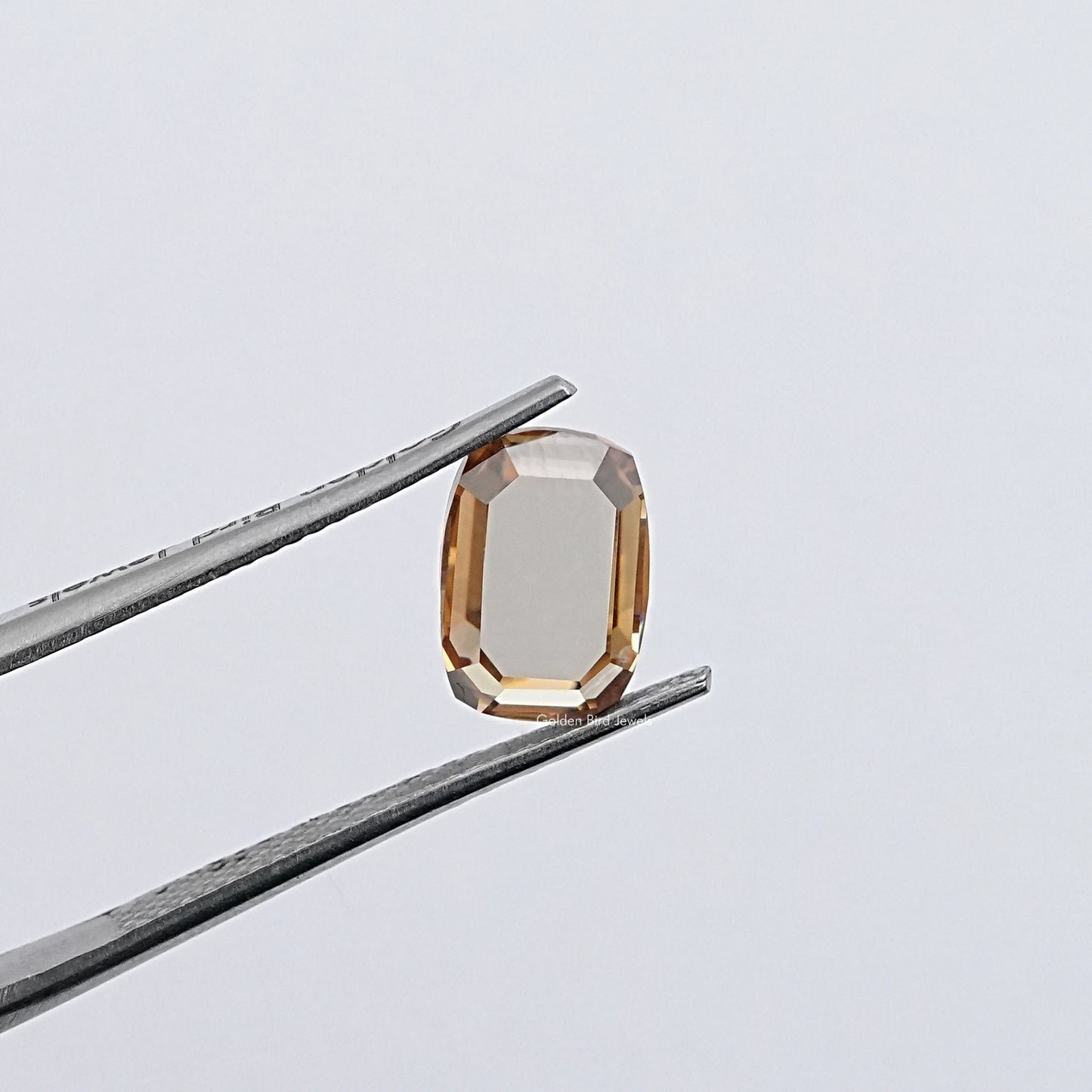 View Of Portrait Cut Cushion Loose Moissanite