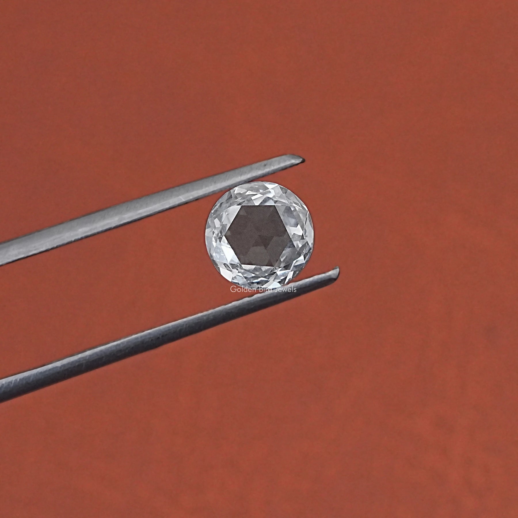 View Of Rose Cut Round Lab Loose Diamond In White