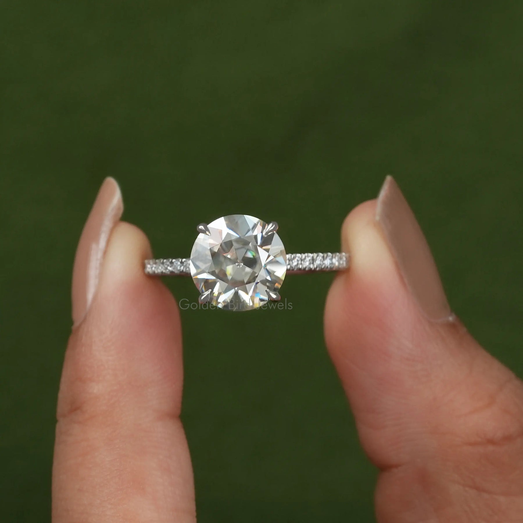 Front View of Round Cut Hidden Halo Ring In two Fingers