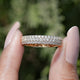 Round Cut Lab Diamond Three Row Pave Band