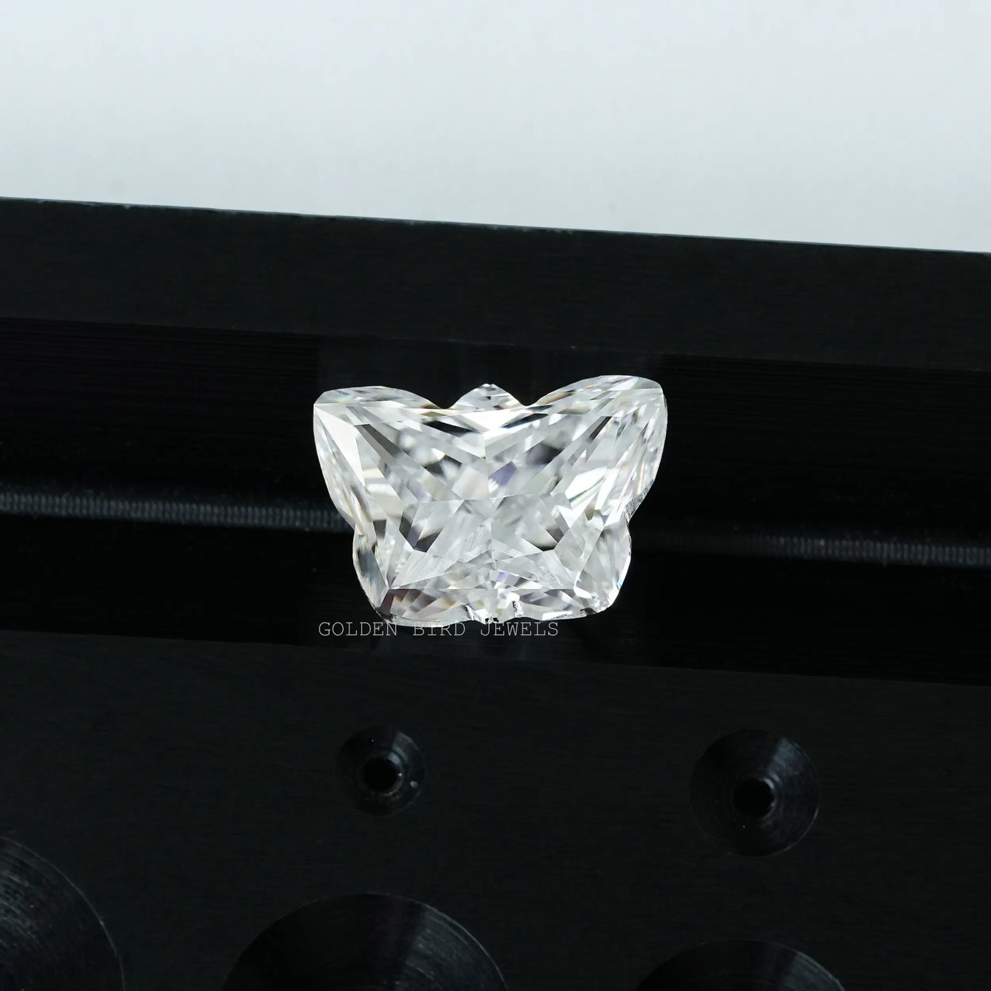 Top view of Butterfly Shaped Loose Stone