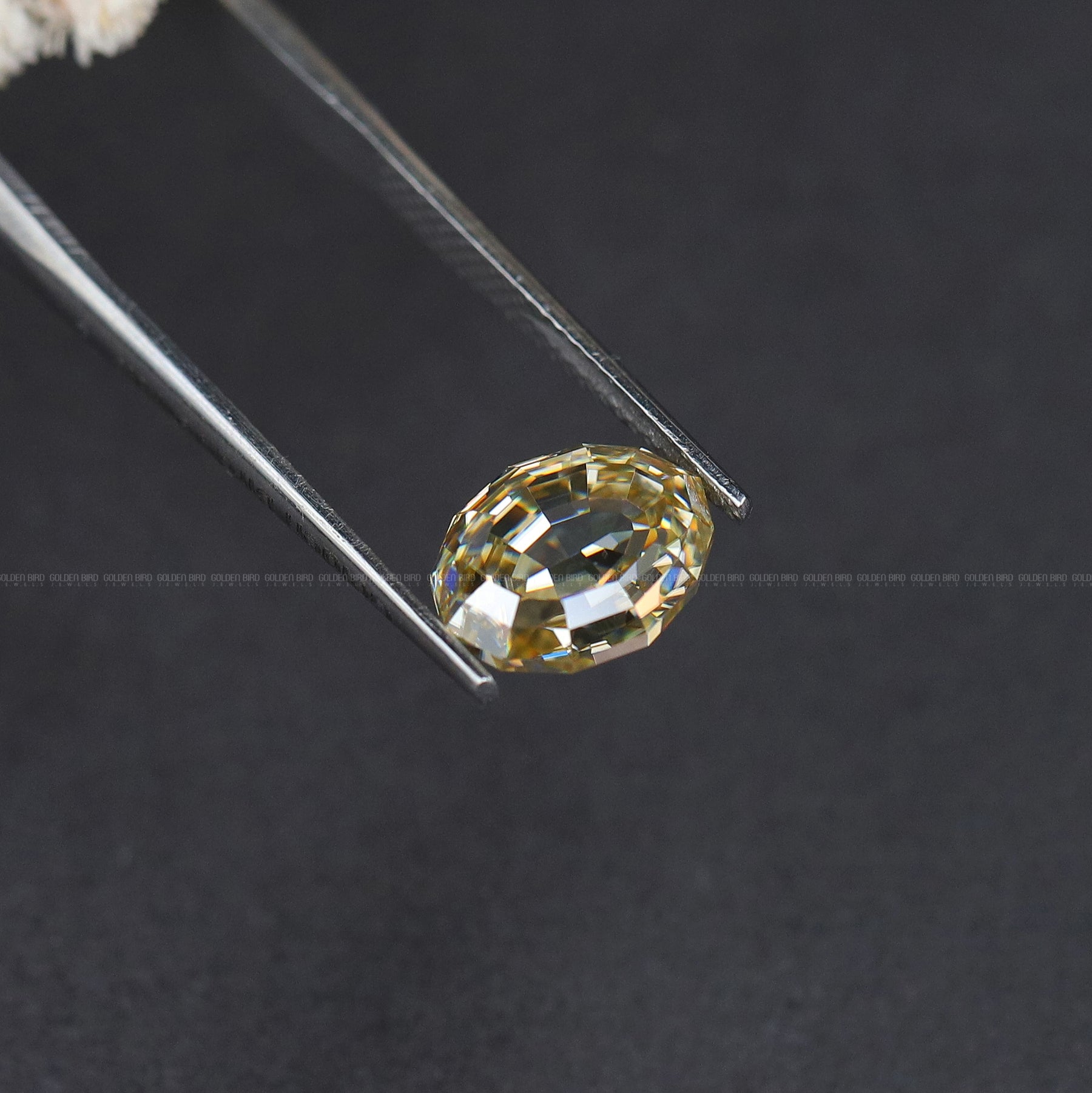 [Moissanite Oval Cut Loose Stone]-[Golden Bird Jewels]