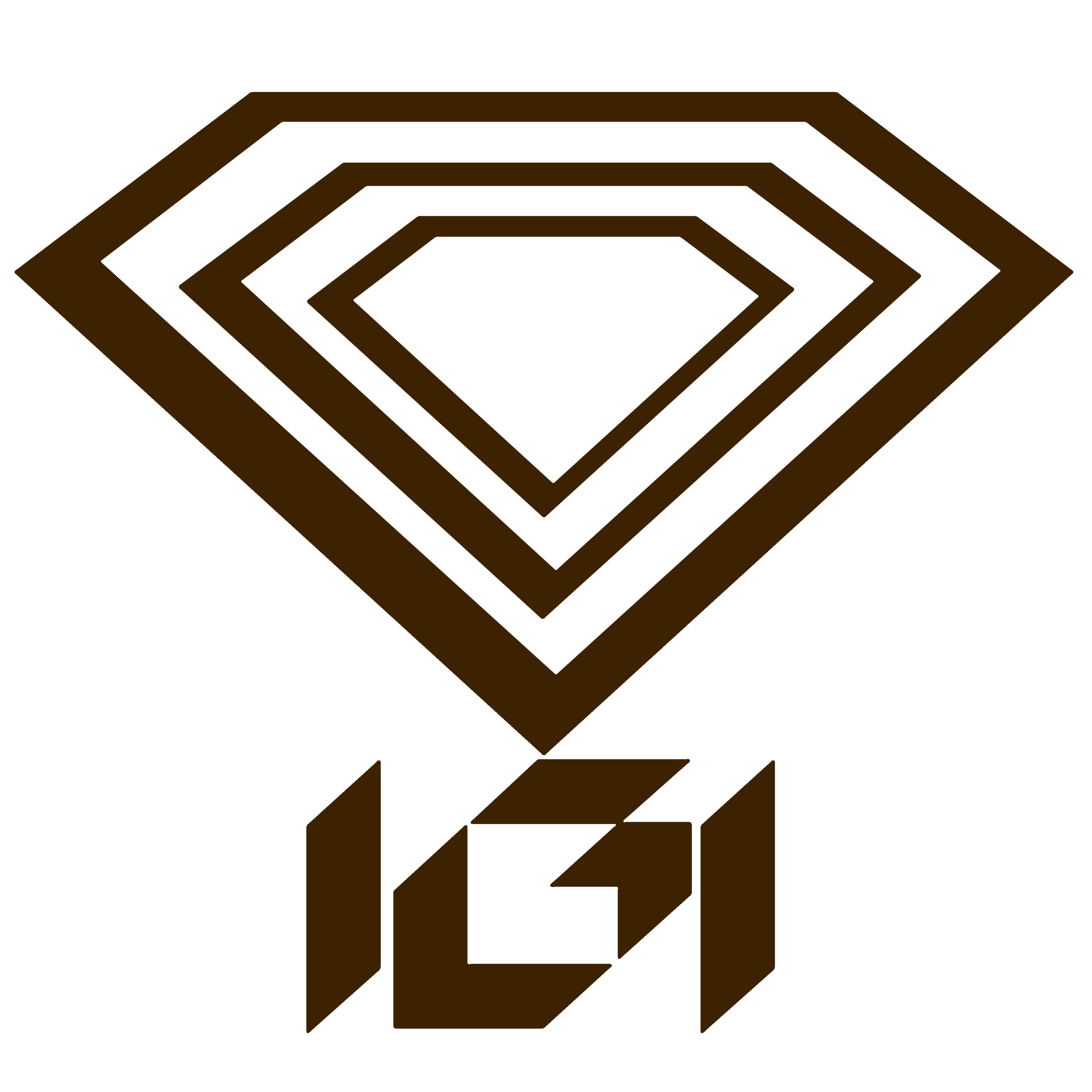 IGI Logo